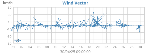 Wind Vector